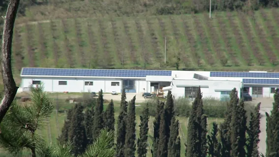 Azienda GD